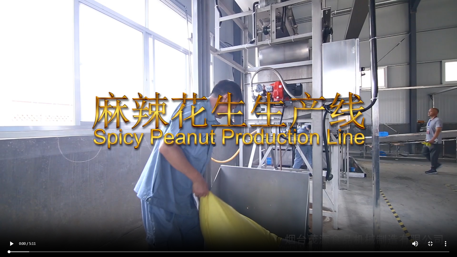 麻辣花生生產線
